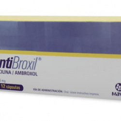 PENTIBROXIL 12 CAPS 500/30 MG