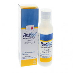 PENTIBROXIL 1 SUSP 250/15MG/5/90 ML